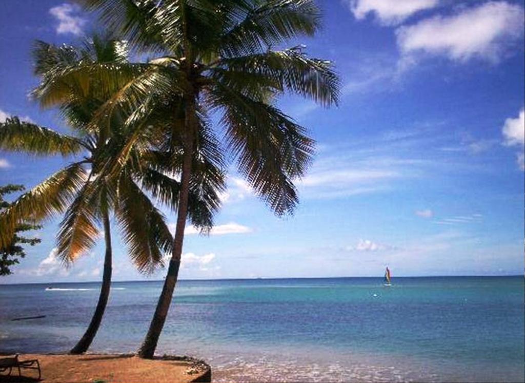 East Winds St. Lucia Hotel Gros Islet Luaran gambar