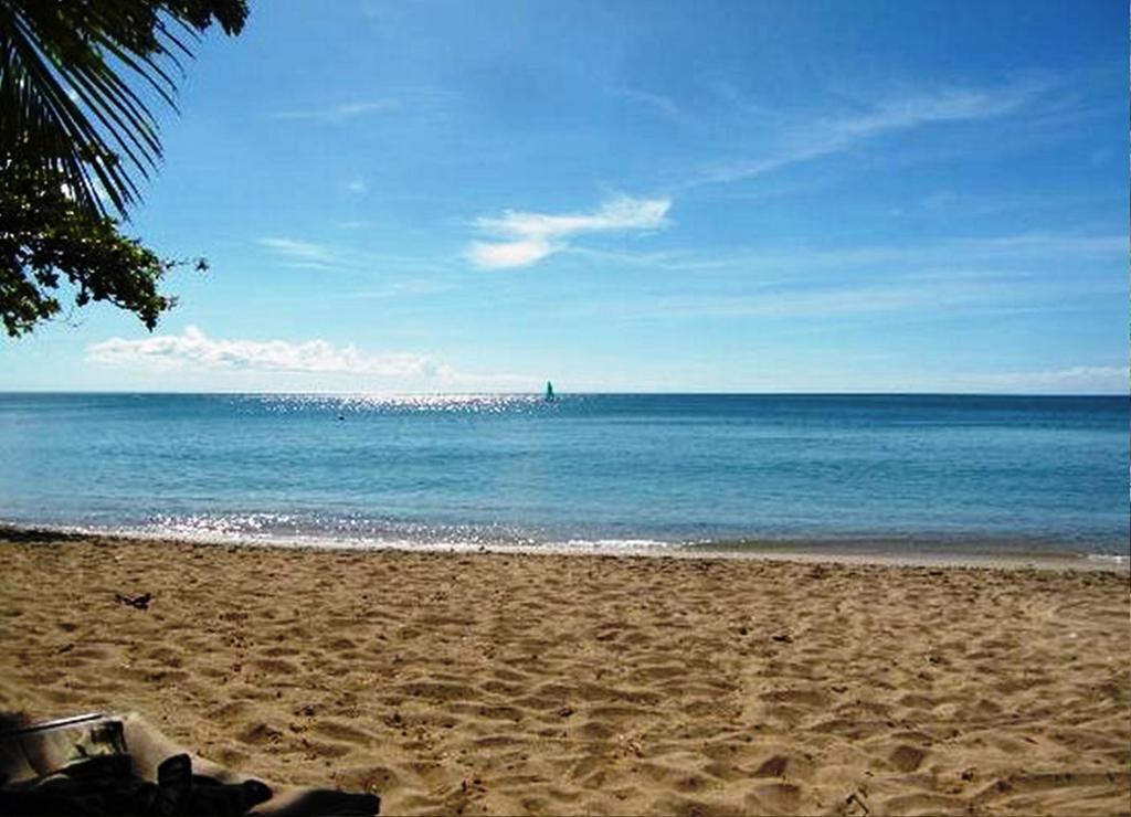 East Winds St. Lucia Hotel Gros Islet Luaran gambar