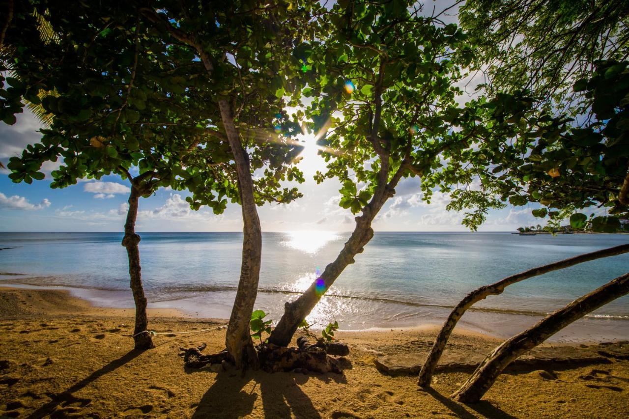 East Winds St. Lucia Hotel Gros Islet Luaran gambar